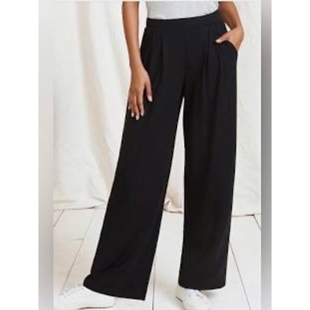 Garnet Hill Black Tencel Lyocell Wide Leg Pleated Trousers Pants Large